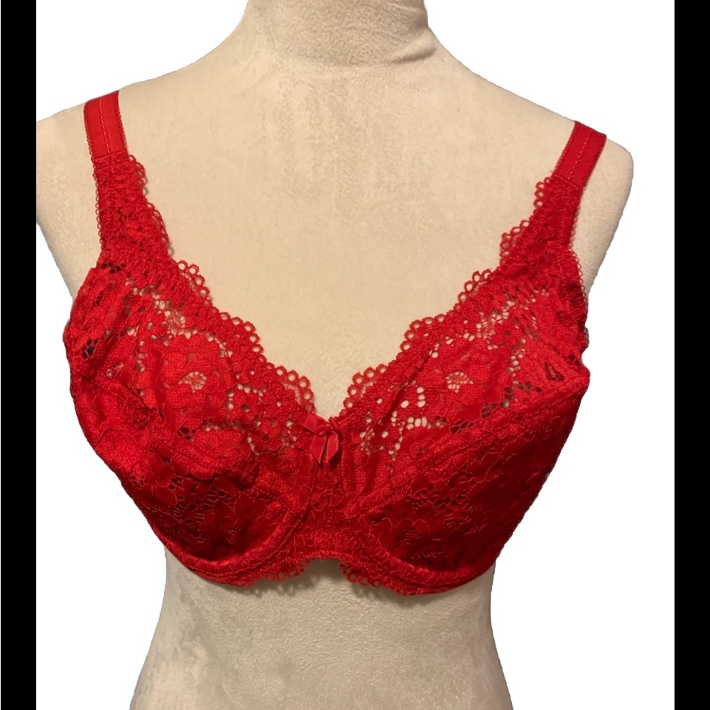 Delimira Lipstick Red Lace Bra NWT Underwire Unlined Size 38C